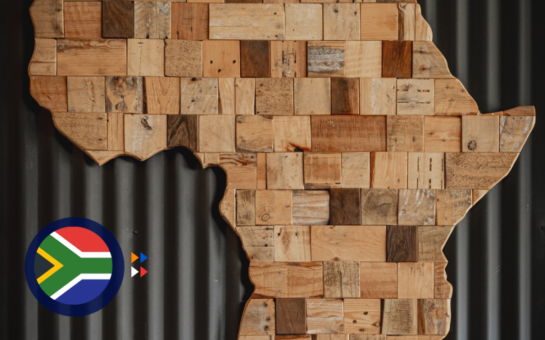 The South African Angel Investing Ecosystem