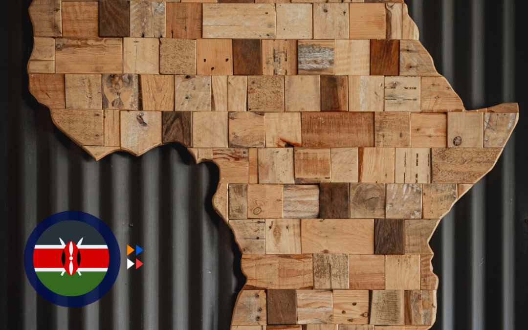 The Kenyan Angel Investing Ecosystem
