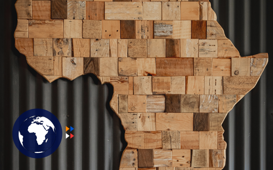 The African Diaspora Angel Investing Ecosystem